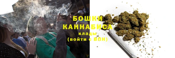 индика Балабаново