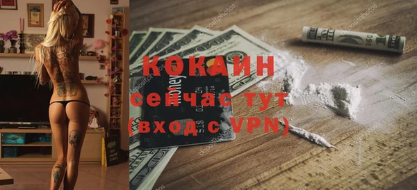 индика Балабаново